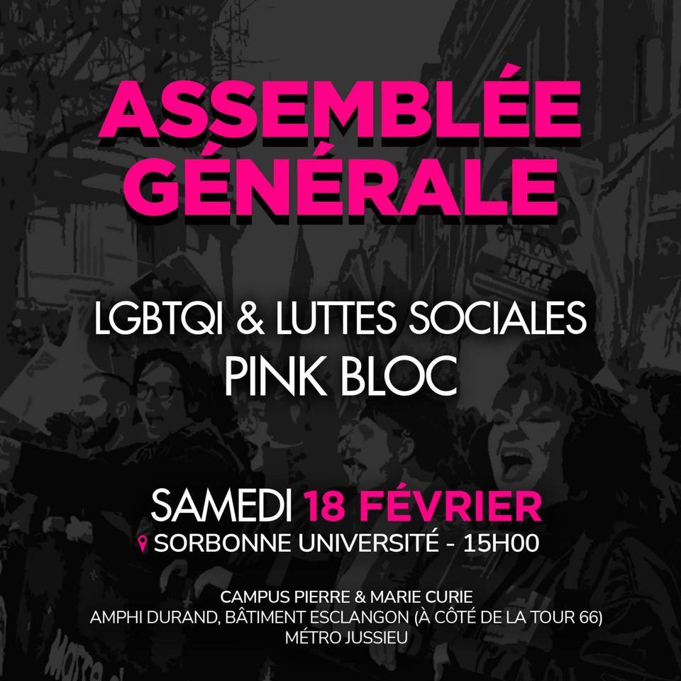 AG LGBTQI & luttes sociales (Pink Bloc) 